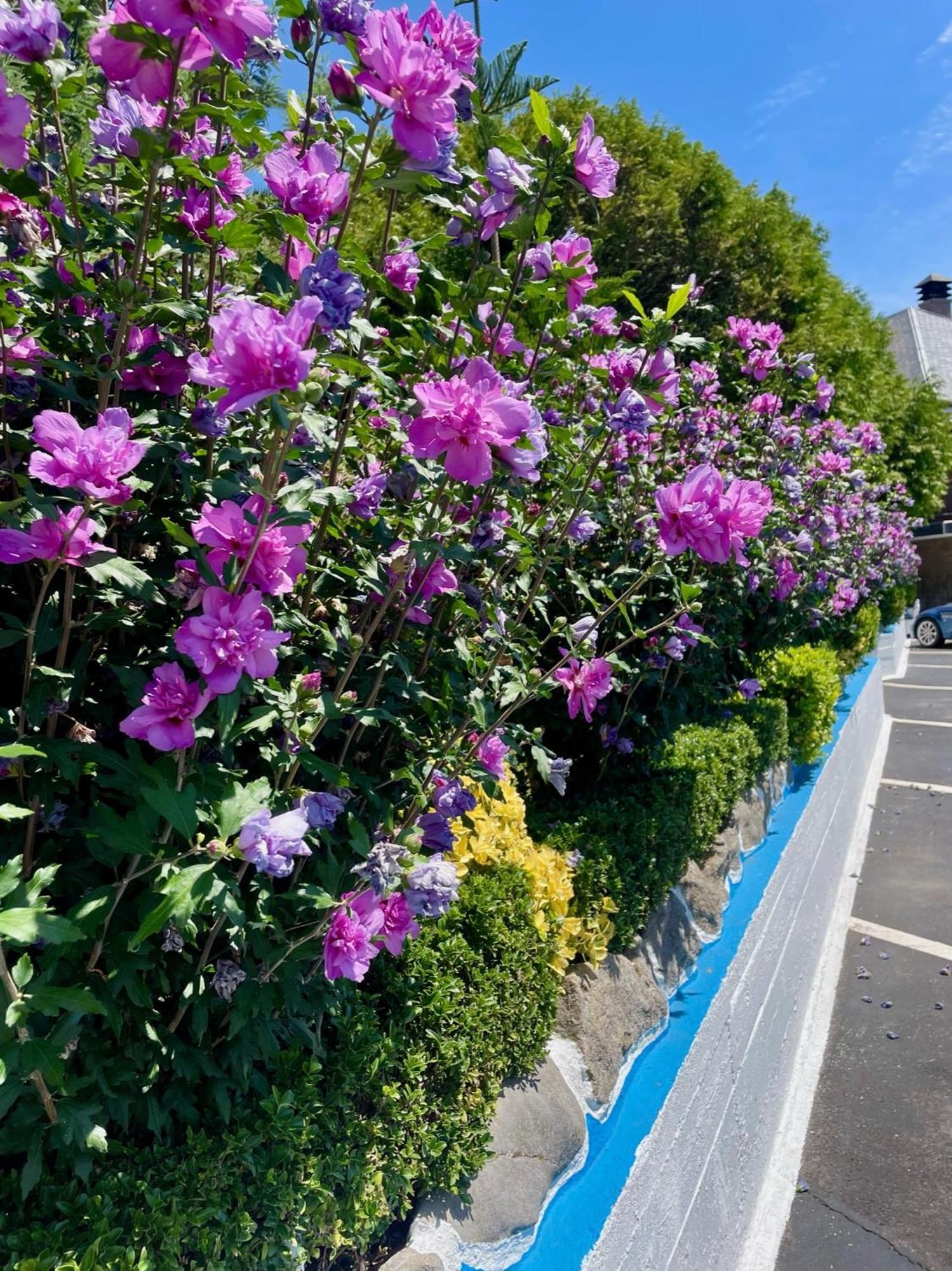El Jardin Soto de la Marina Exterior foto