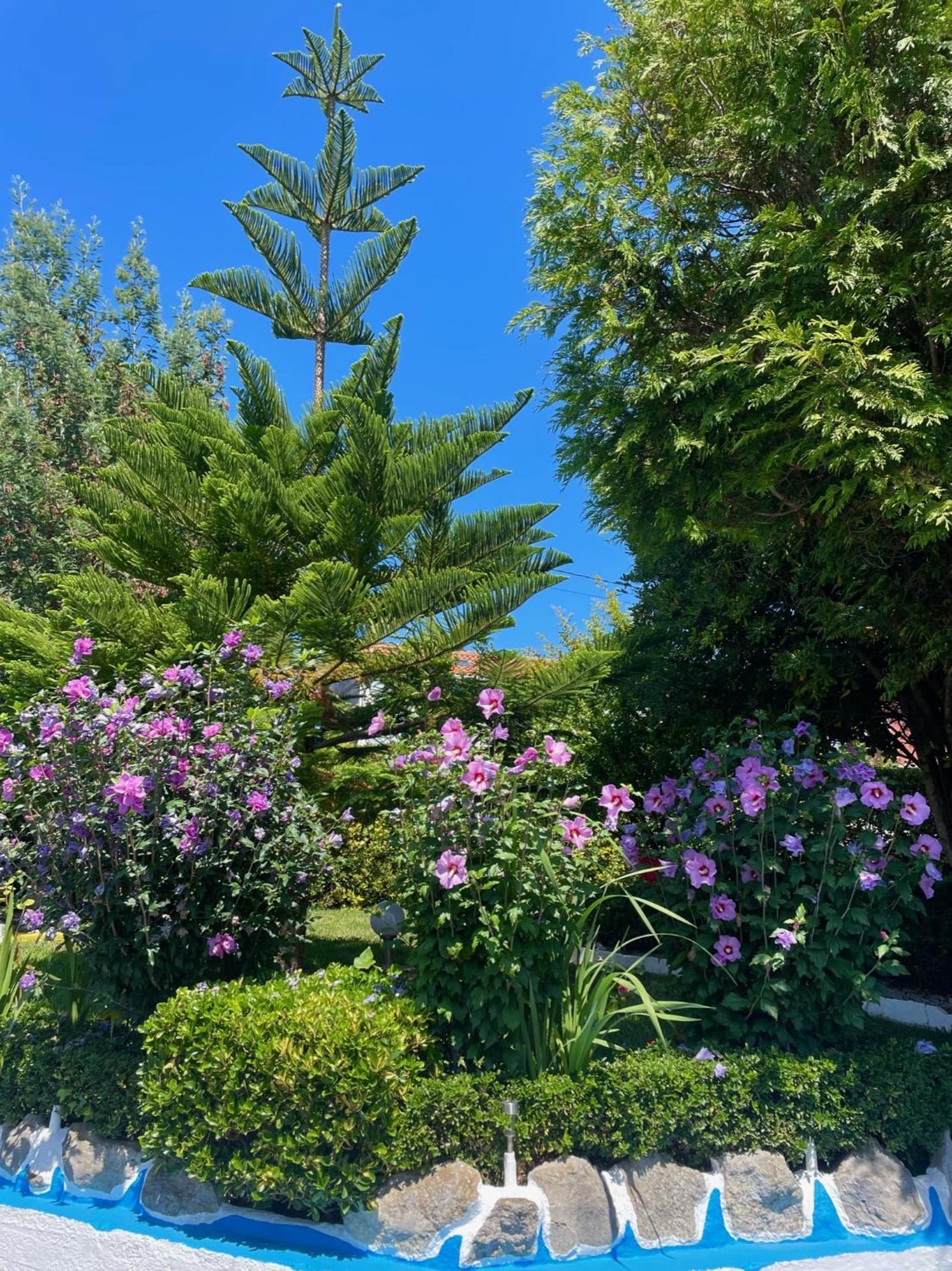 El Jardin Soto de la Marina Exterior foto